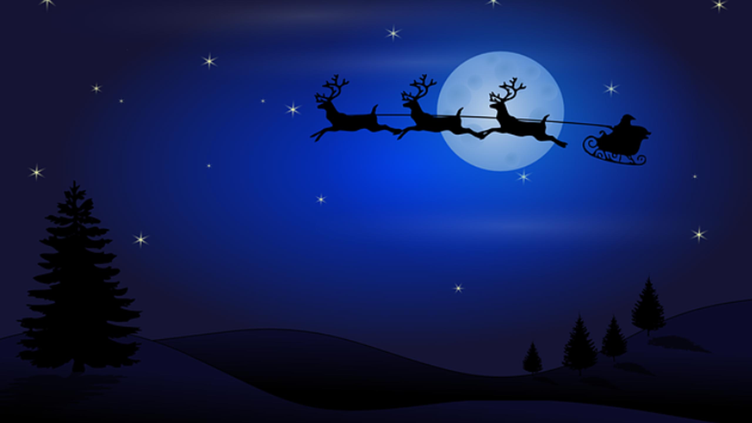 Santa's Sleigh Through Silent Night Sky